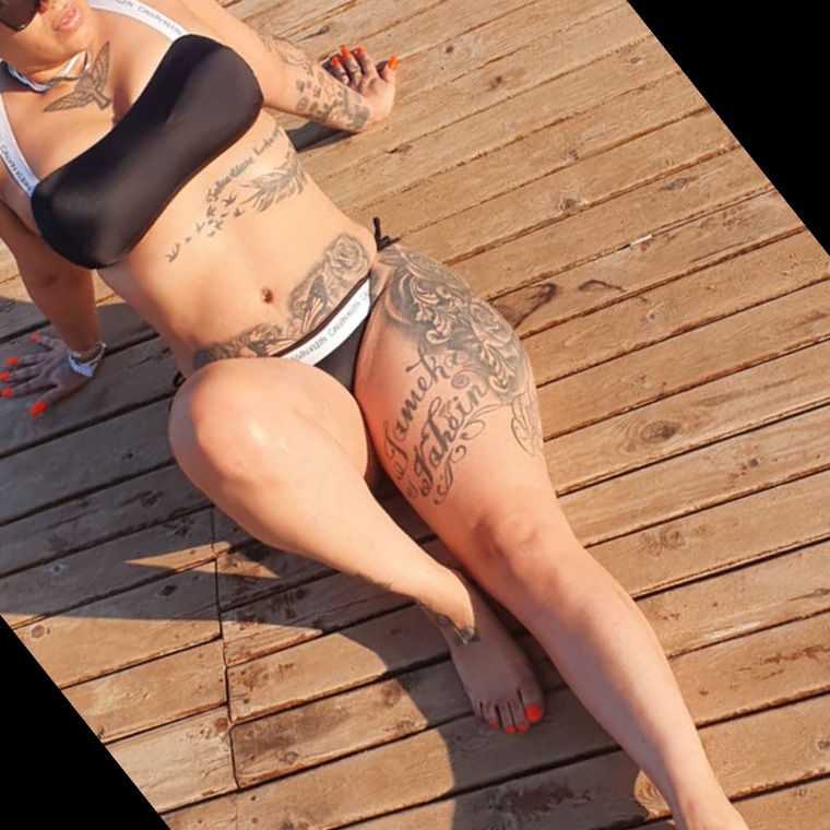 shiz cover image
