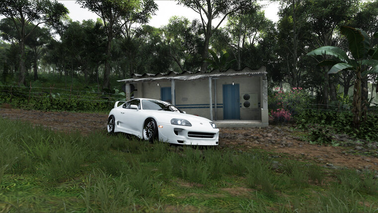 Miguel c cover image