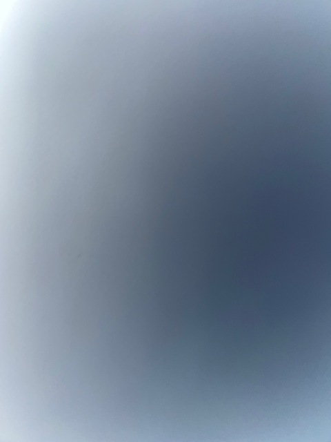 Showingus cover image