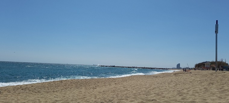 ShowMyFeet banner image