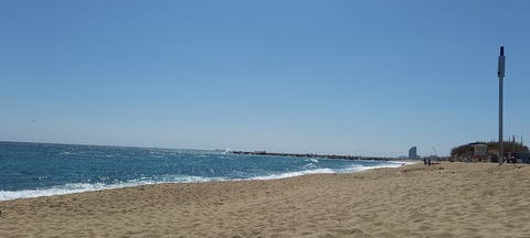 ShowMyFeet cover image