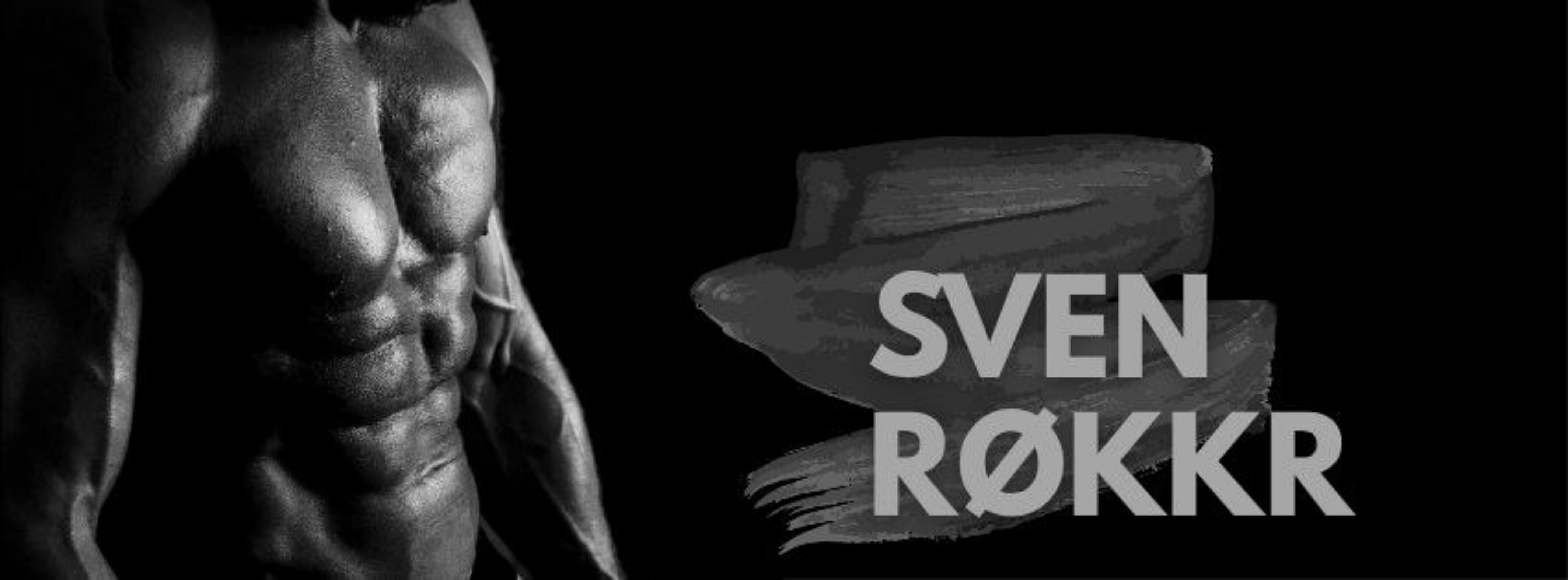 Sven Røkkr banner image