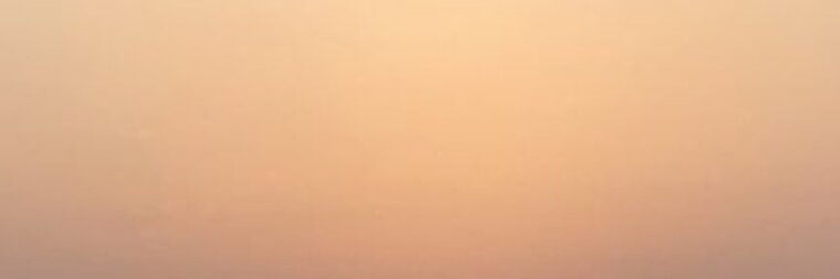 Shawn cover image