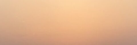 Shawn cover image