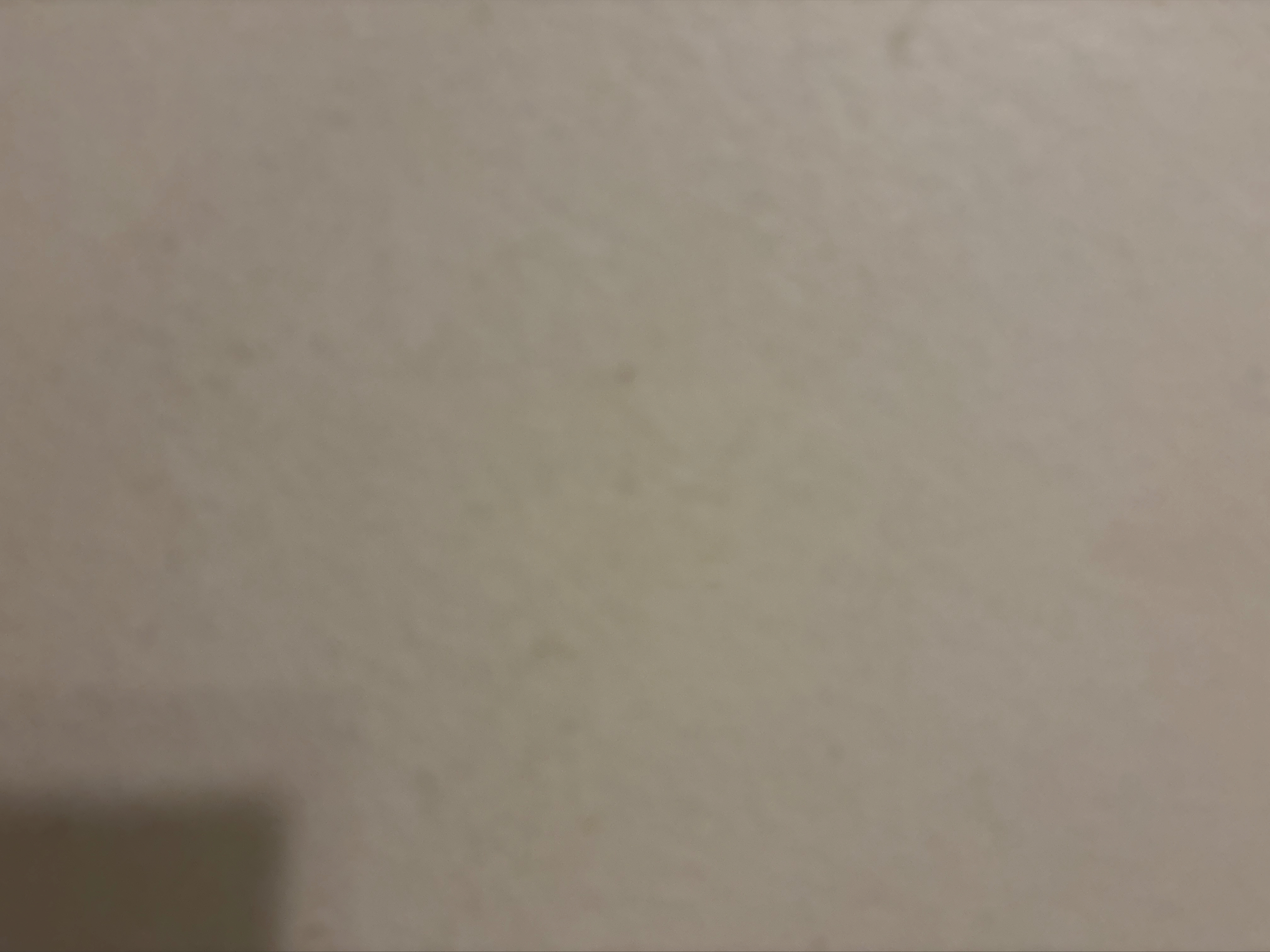 Kayla Pierce banner image