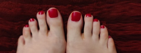 Shy Feet cover image
