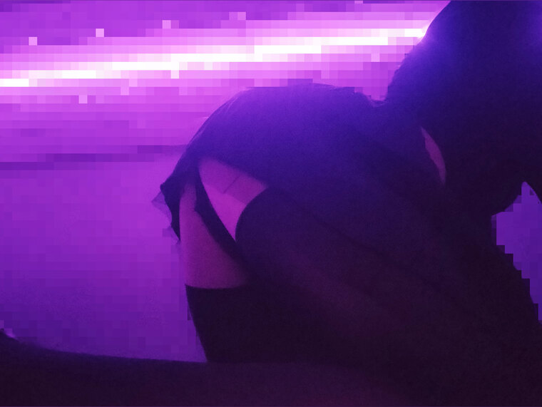 _ShyFem_ cover image