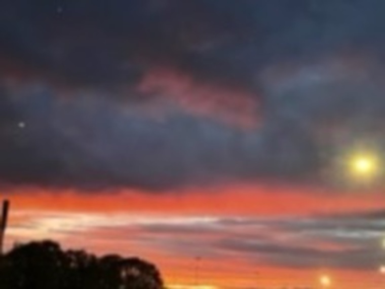 ShyLesbiian banner image