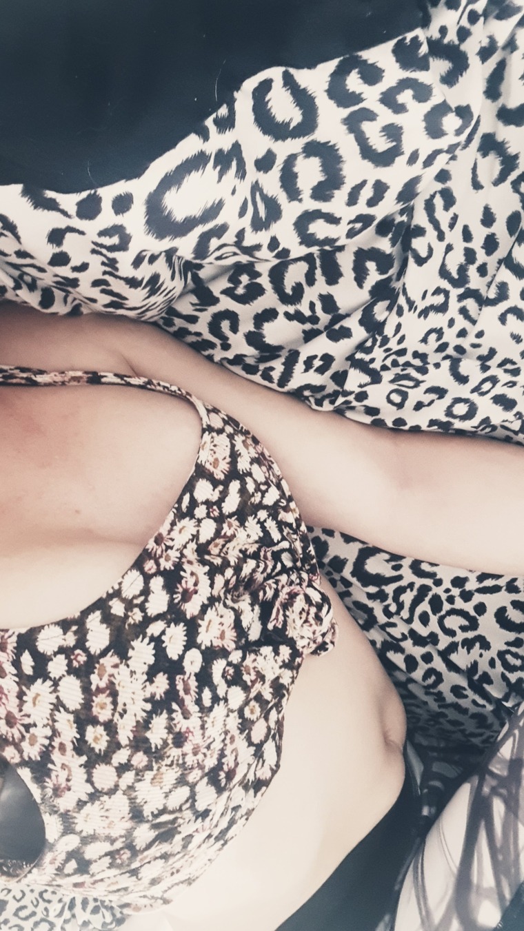 Shystie cover image