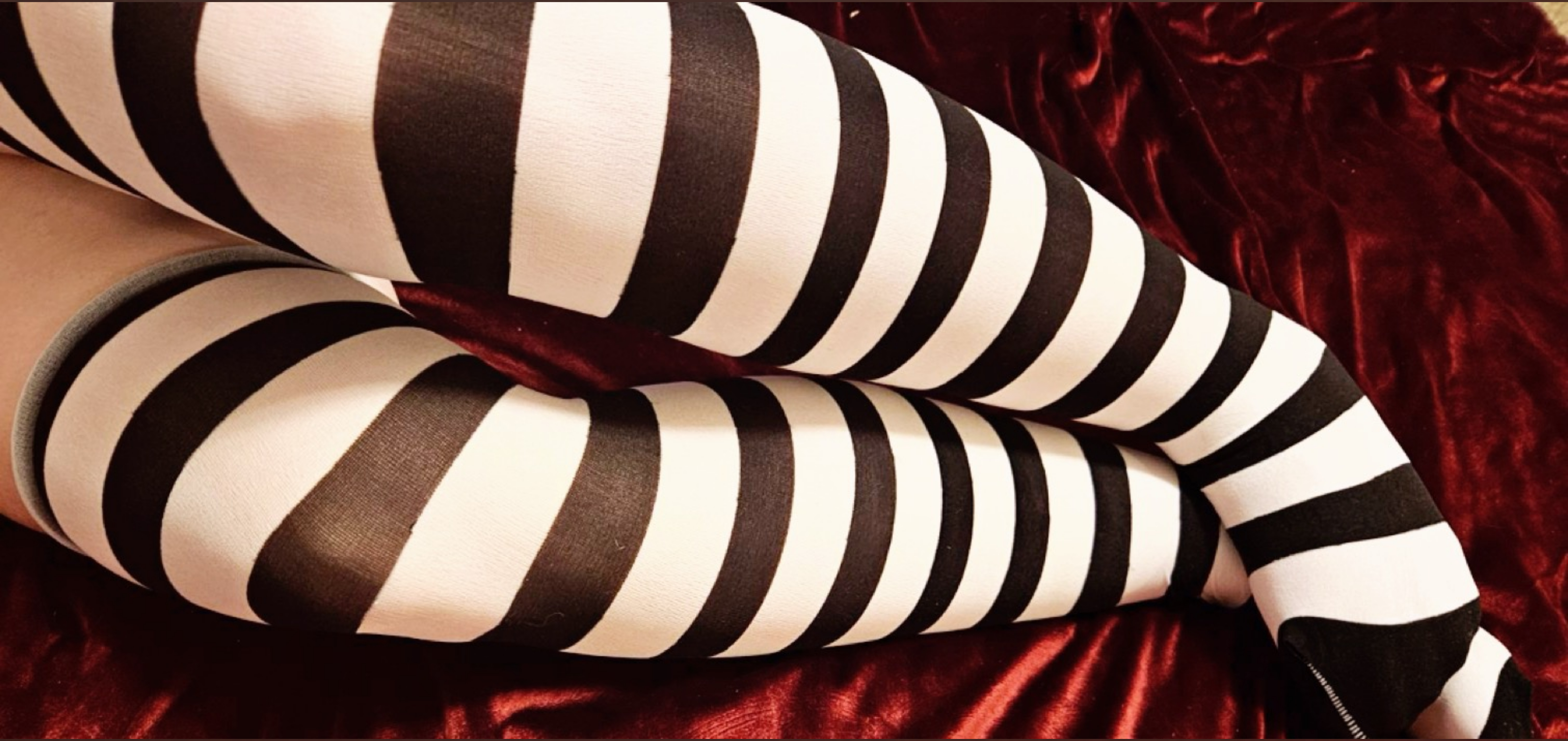 Shytouch banner image