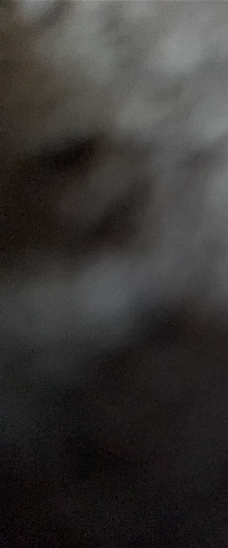 Lacha banner image