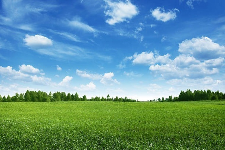 sielu98 cover image