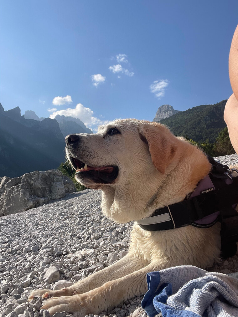 SierraNevada cover image