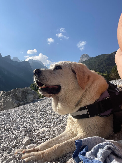 SierraNevada cover image