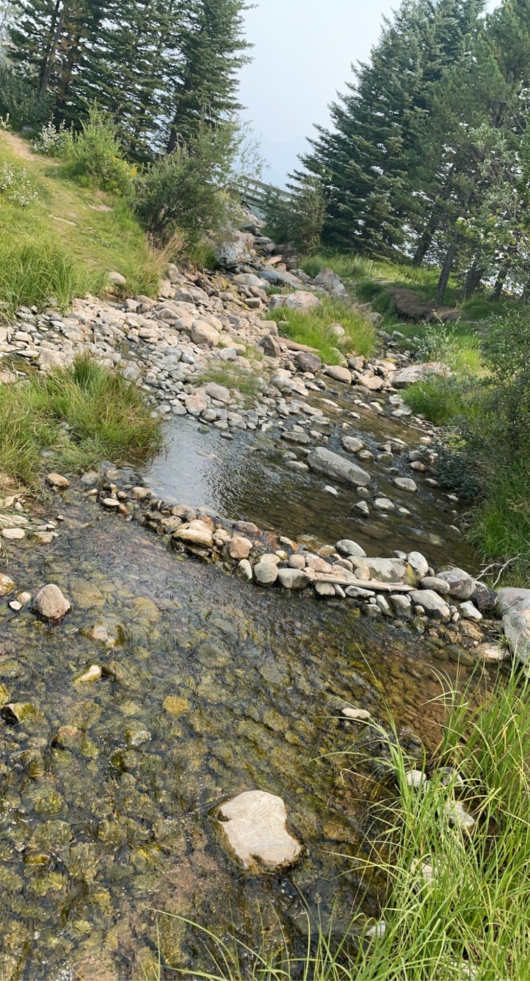 Sierra cover image