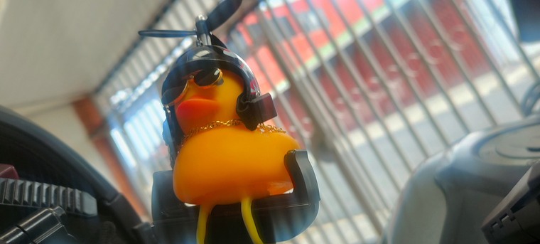 Sigifredo banner image