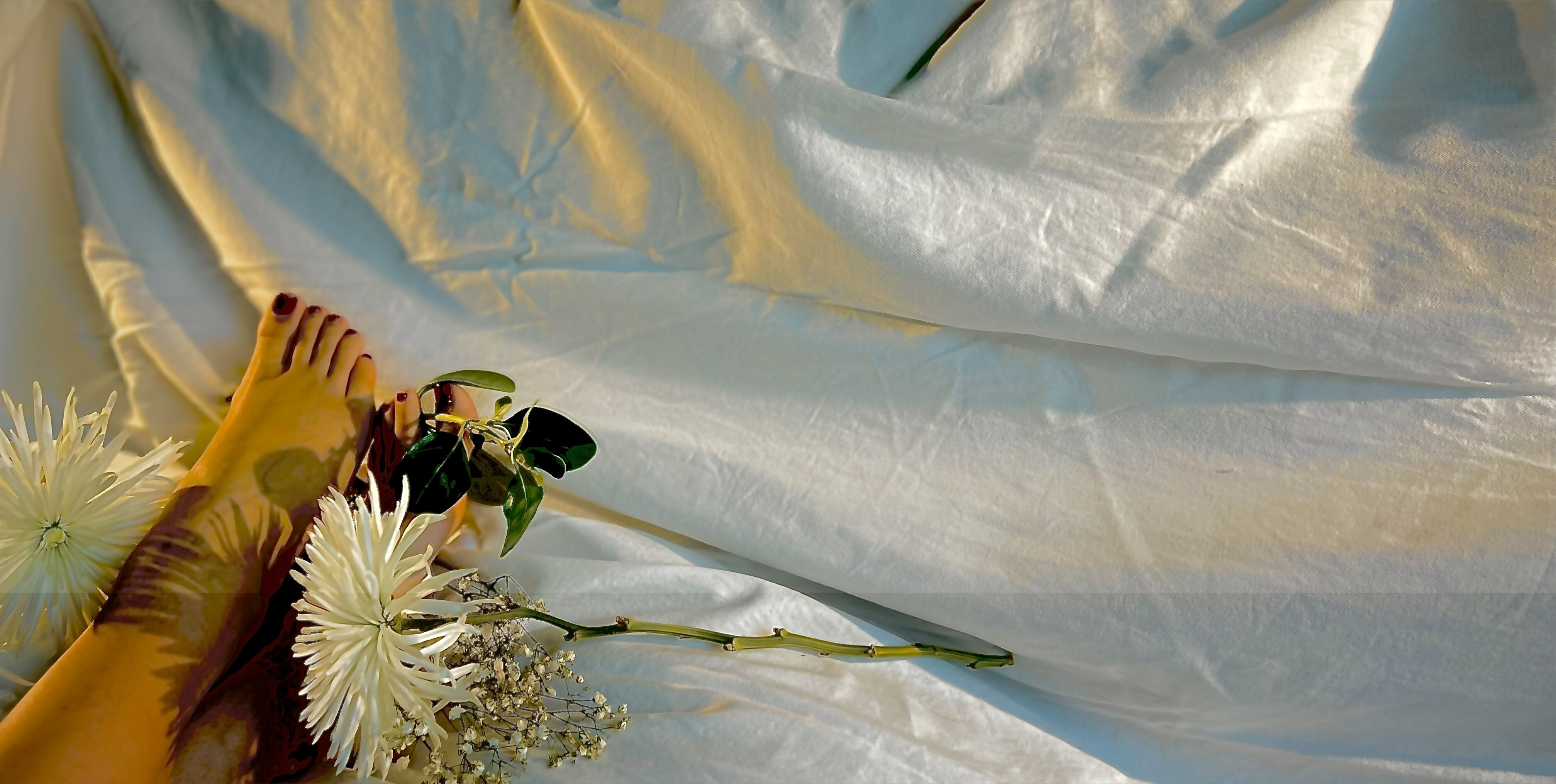 SilentDesireX banner image