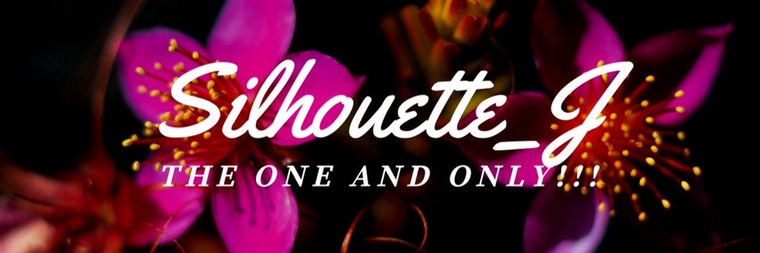 Slutty Silhouette_J cover image