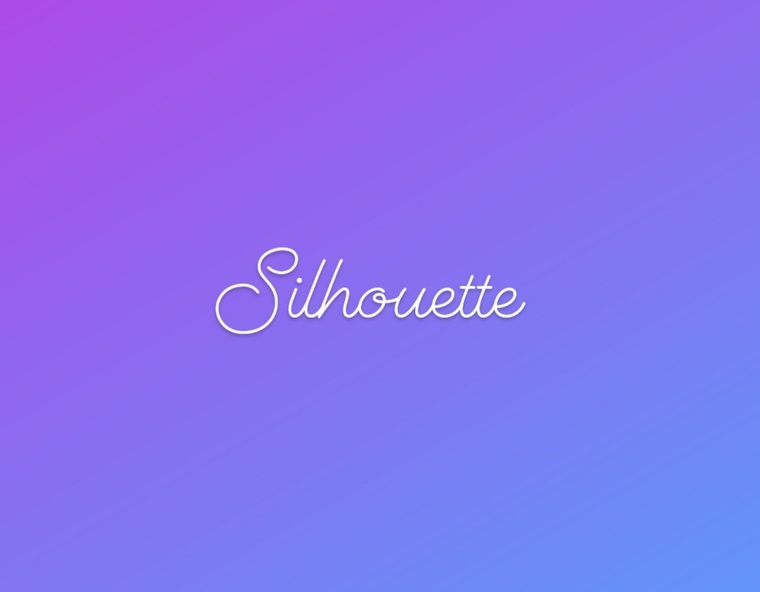Silhouette cover image