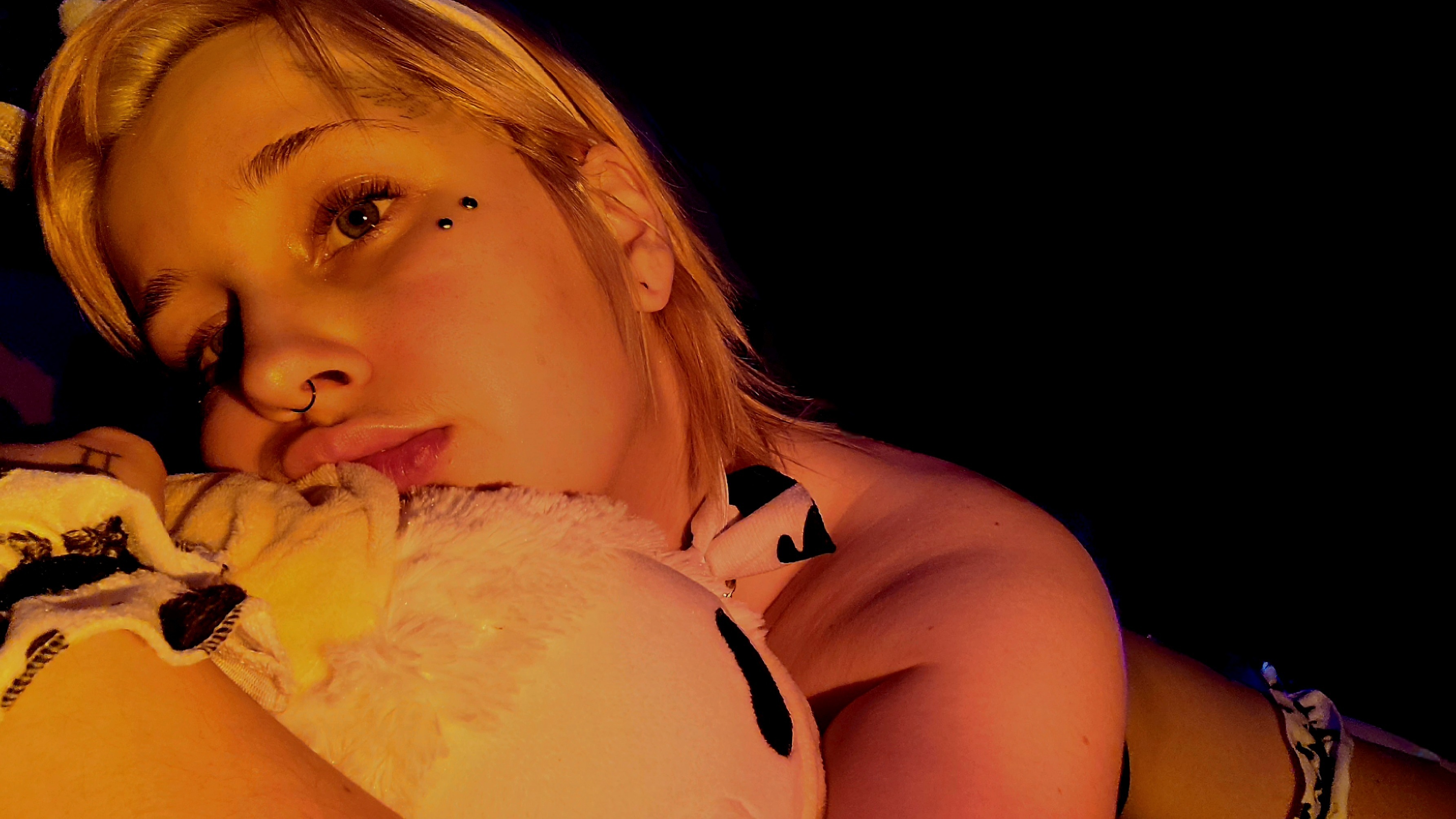 Dessy ๐ฆ banner image
