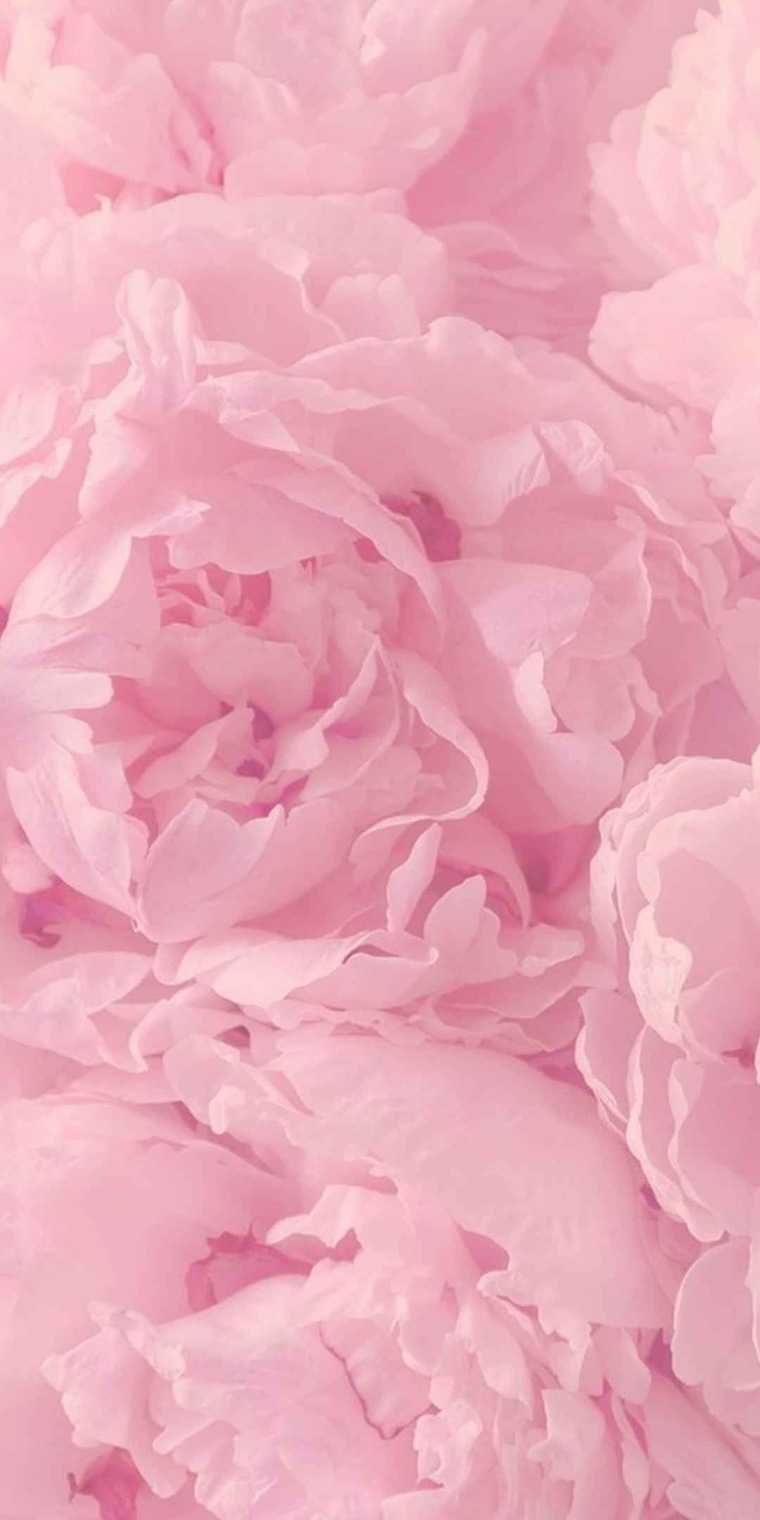 Peachy🍑 banner image