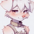 SilkyRunt avatar