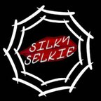 Silky Selkie avatar