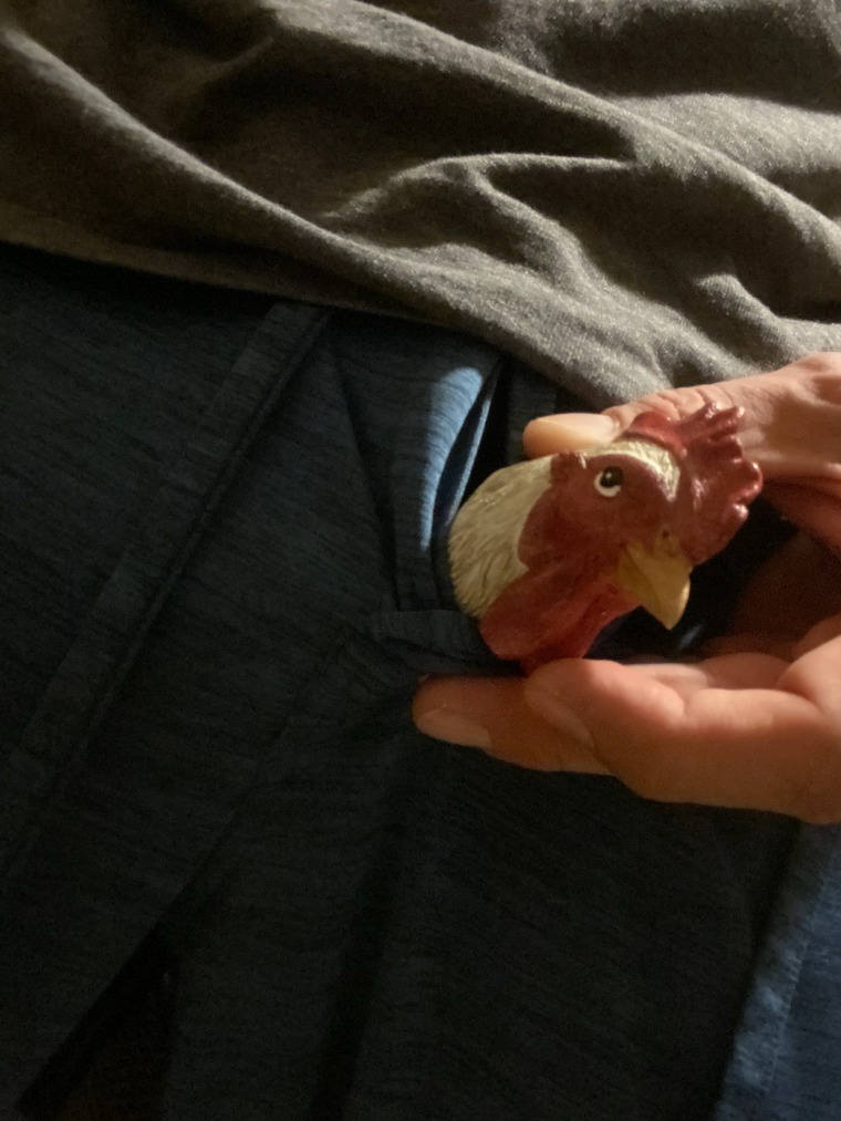 Silly Dick Pics cover image