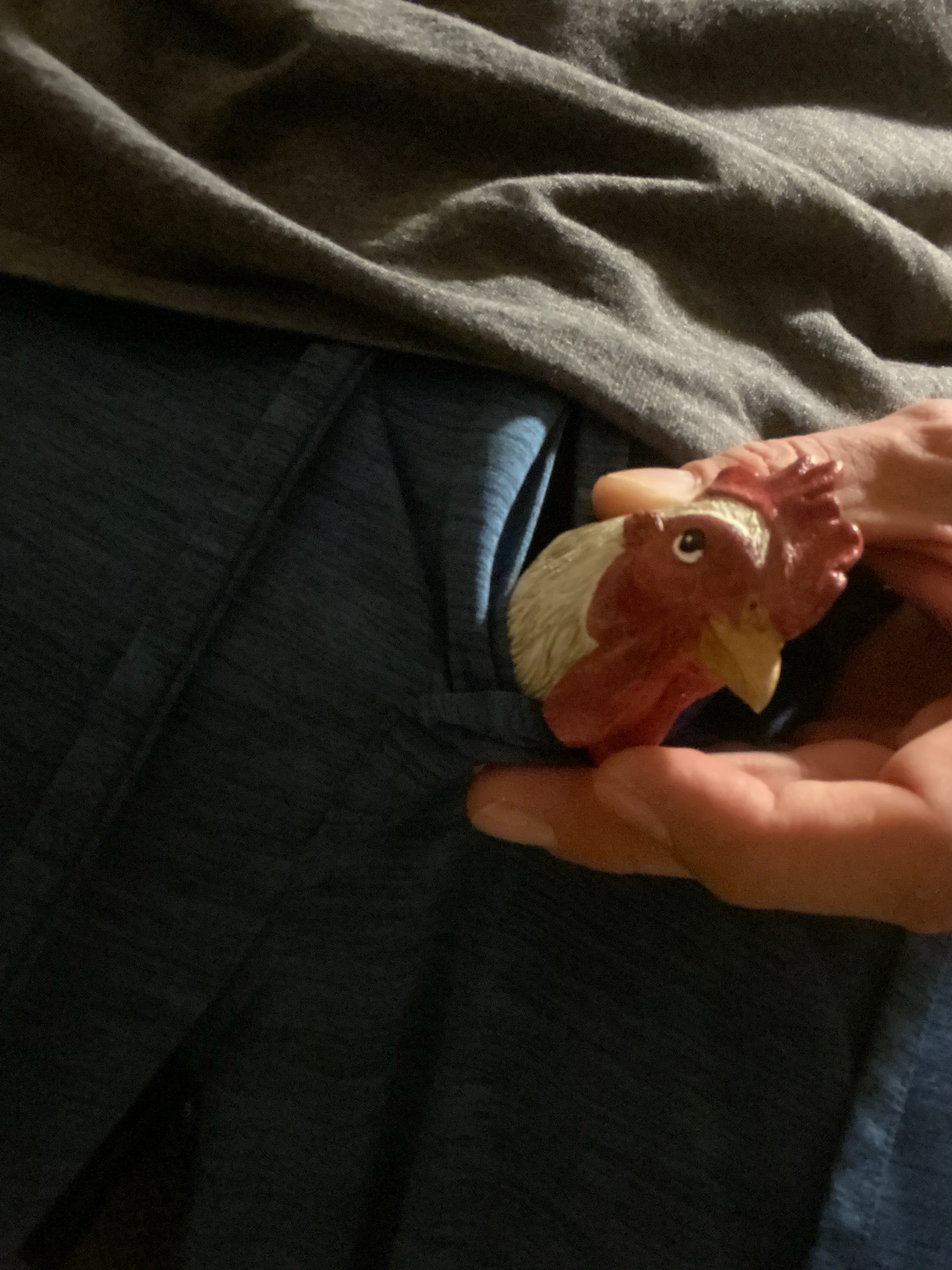 Silly Dick Pics banner image