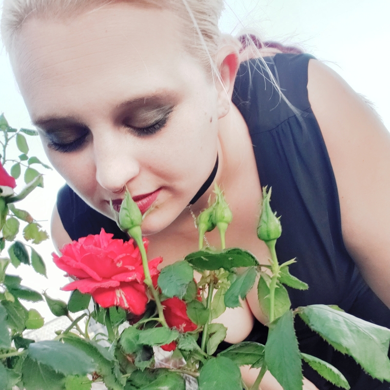 SillyHippie banner image