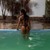 Julia Lopes avatar