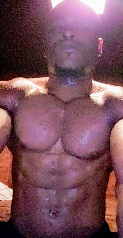 SilverBack cover image
