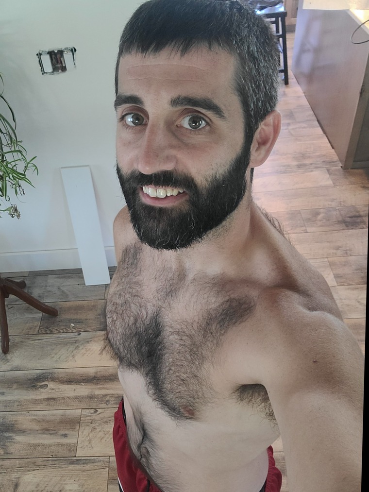 SilverFox cover image