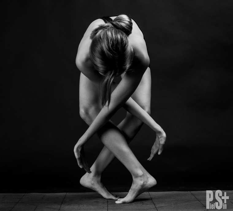 Sil Yogui cover image