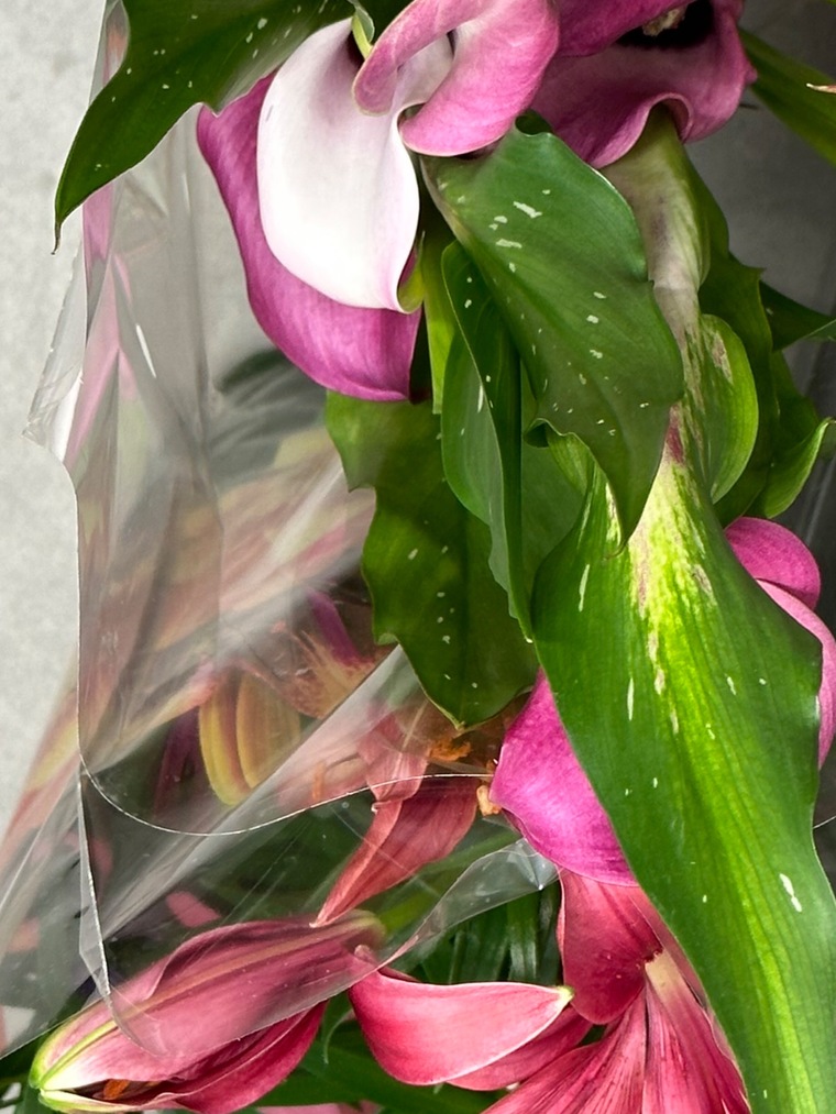 Silviviry22 banner image