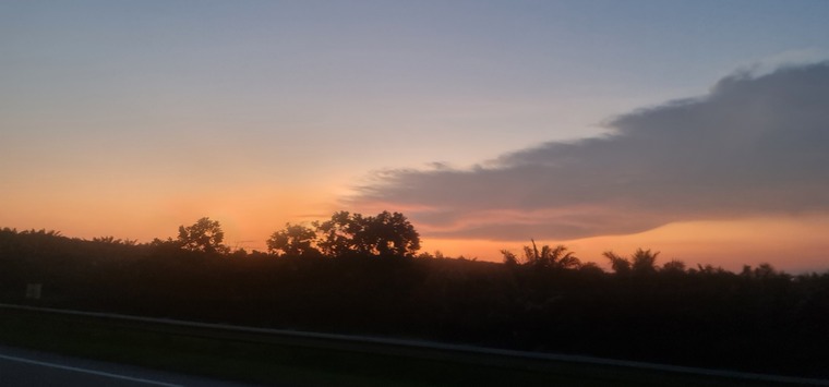 Simple_Dimple banner image