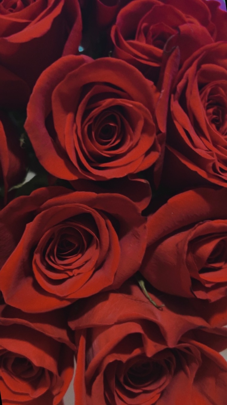 Bella🤍 banner image