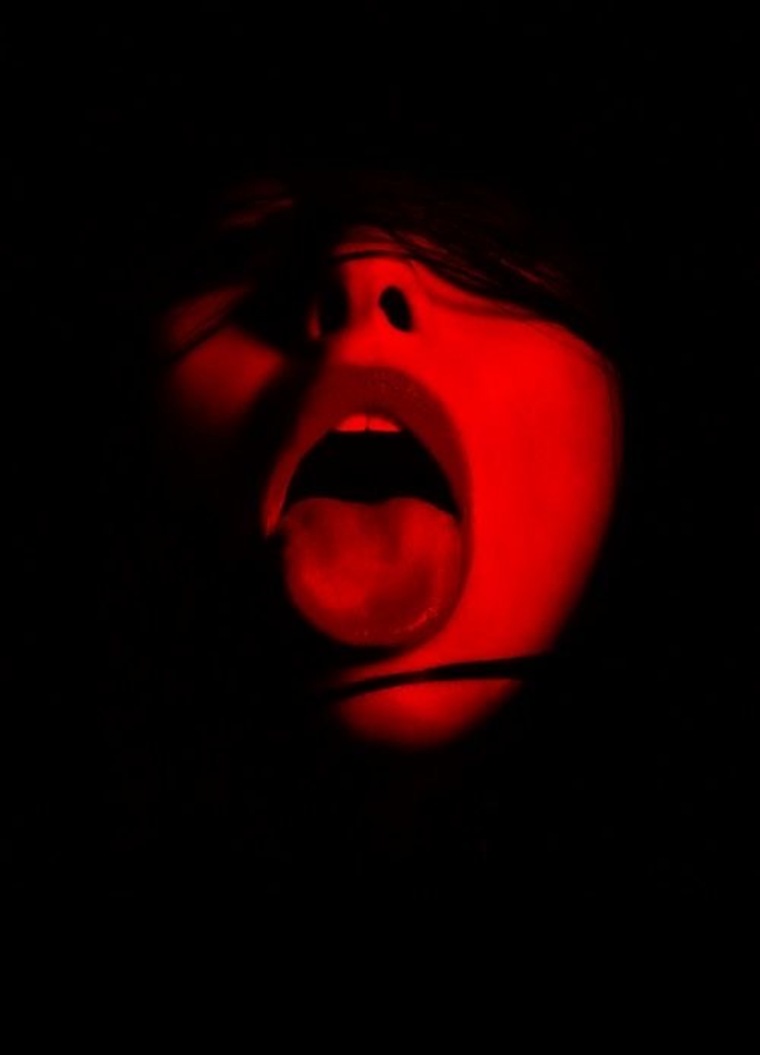 BabySugs41 banner image