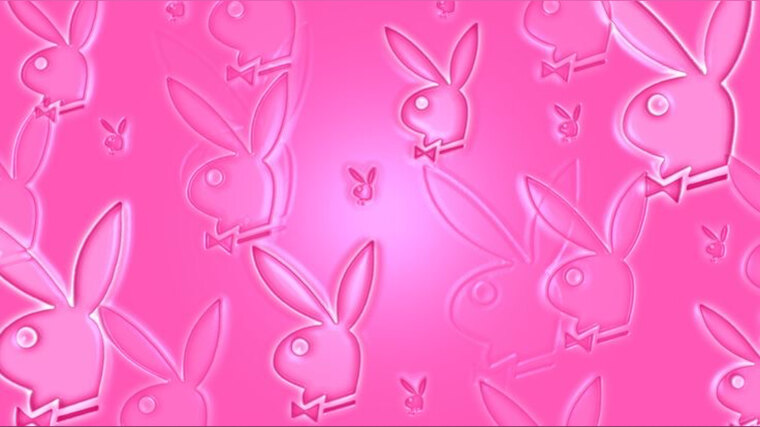 ☁️💕✨nikki. ✨💕☁️ banner image