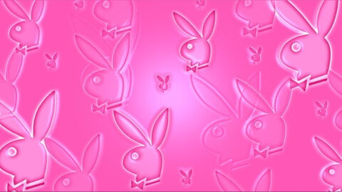 ☁️💕✨nikki. ✨💕☁️ cover image