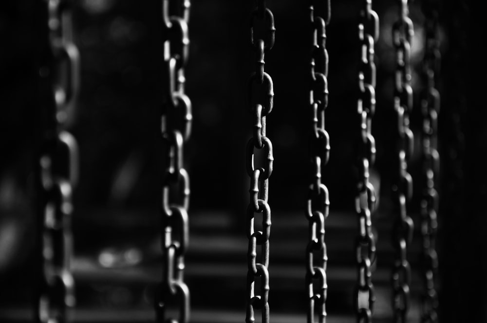 Nova Sinclair banner image
