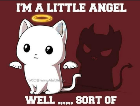Sweet Sinful Birb cover image