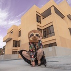 Sinful Sloth Slut (she/her) avatar