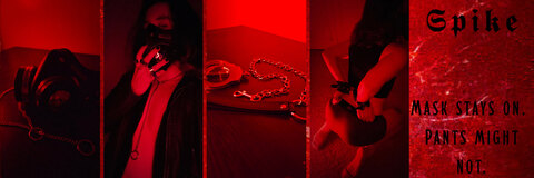 𝕾𝖕𝖎𝖐𝖊 cover image