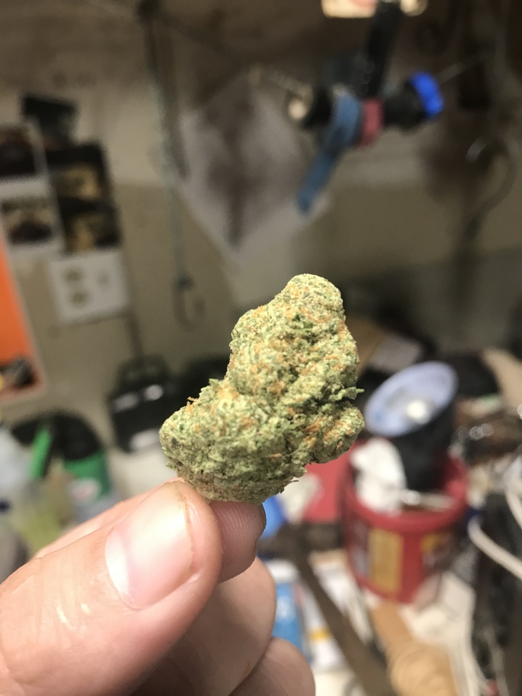 Dabman420x cover image