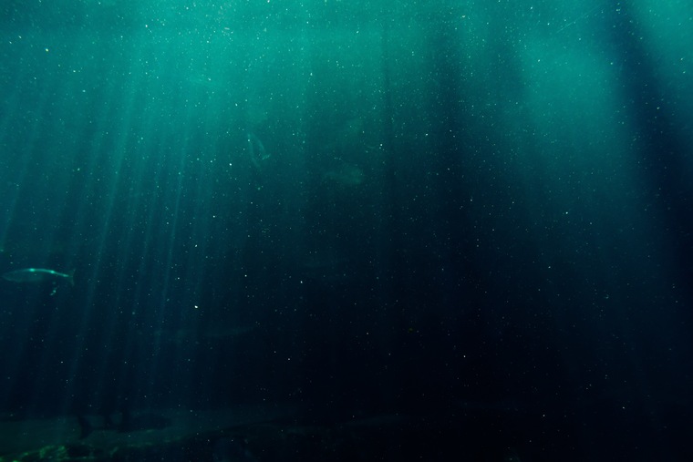 Siren of the Deep cover image