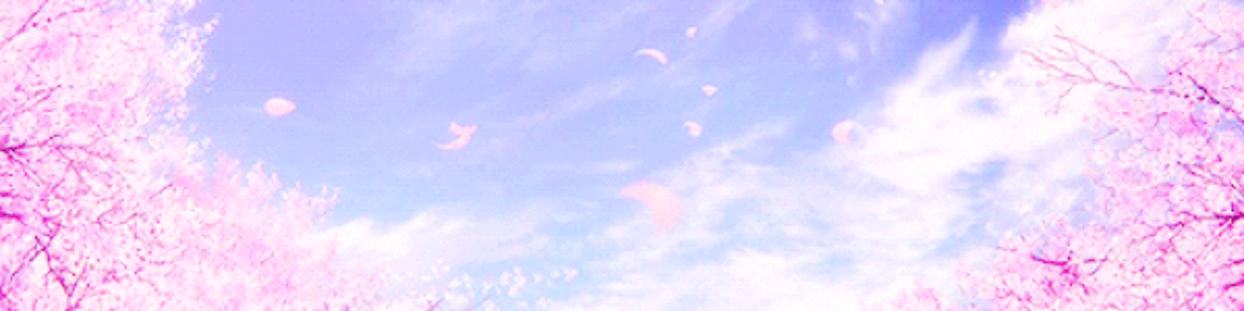 Sir Fluff banner image