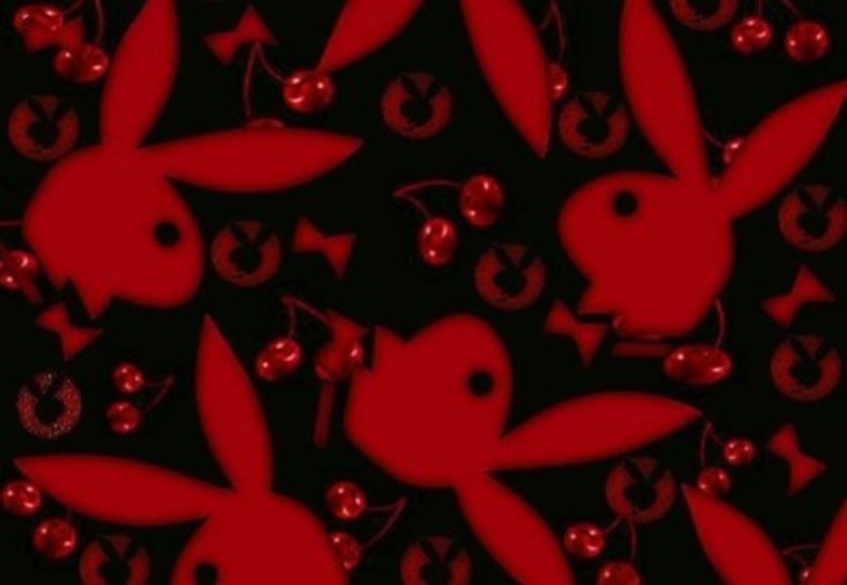Trinity Finley banner image
