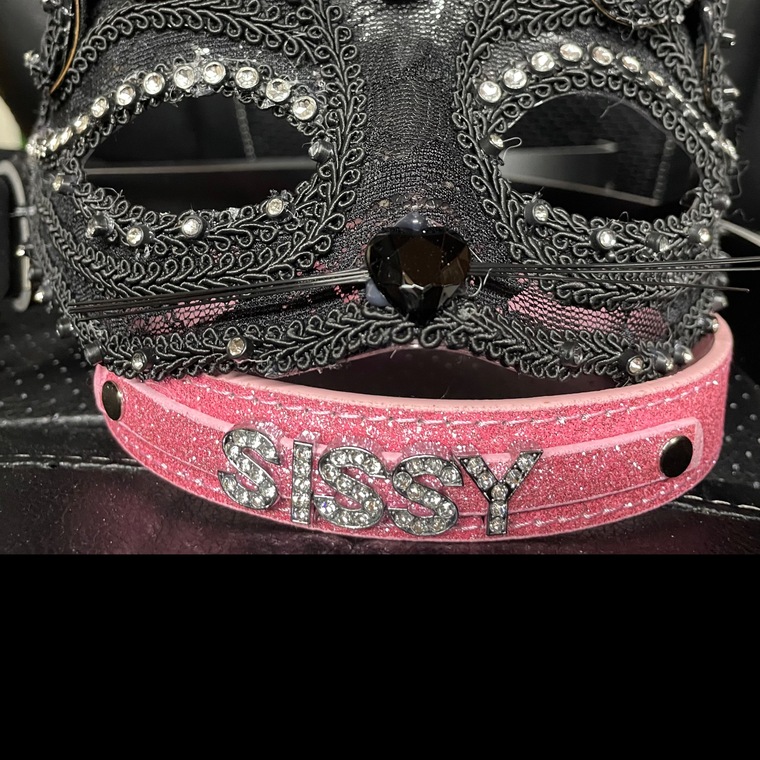 Sissy Bi Husband banner image