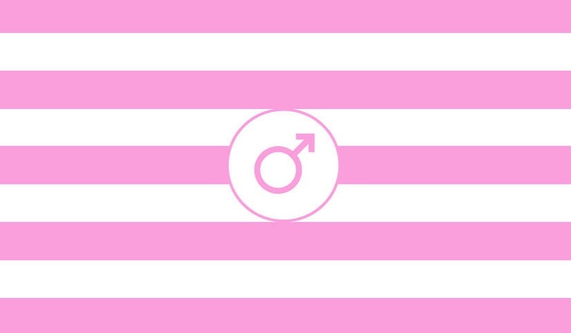 Sissy Katie banner image